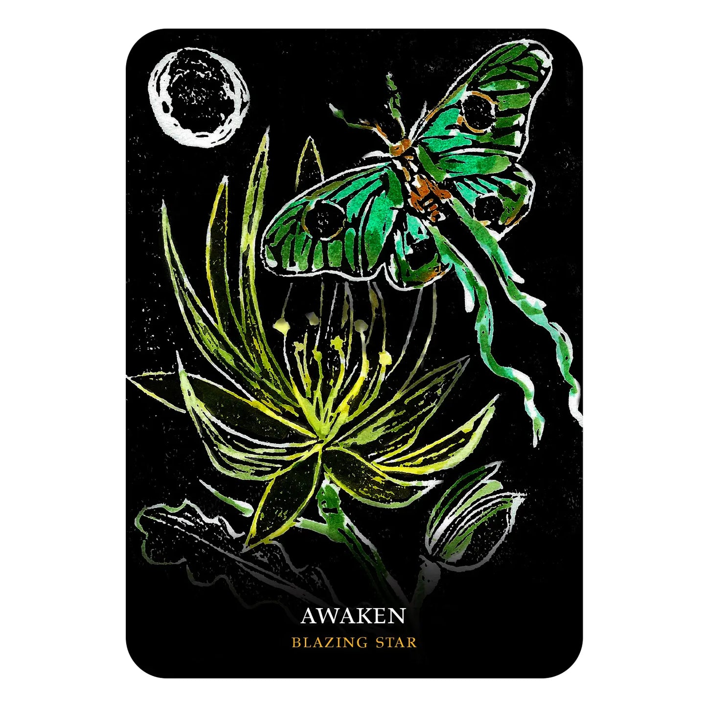 Flowers of the Night Oracle Deck