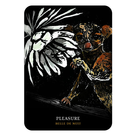 Flowers of the Night Oracle Deck